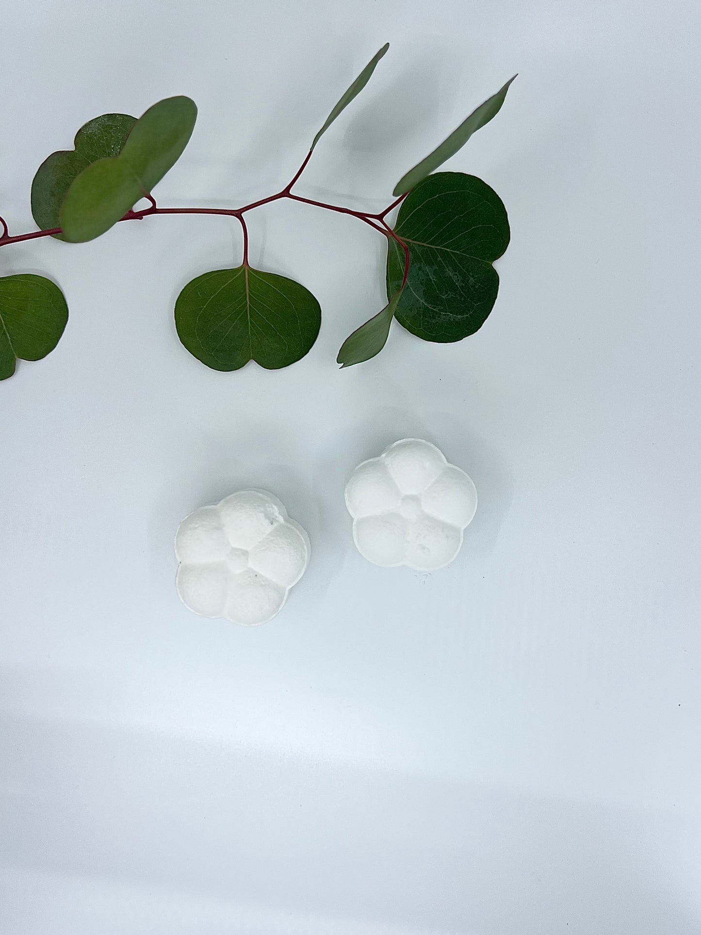 Eucalyptus Shower Flower (Set of 3)